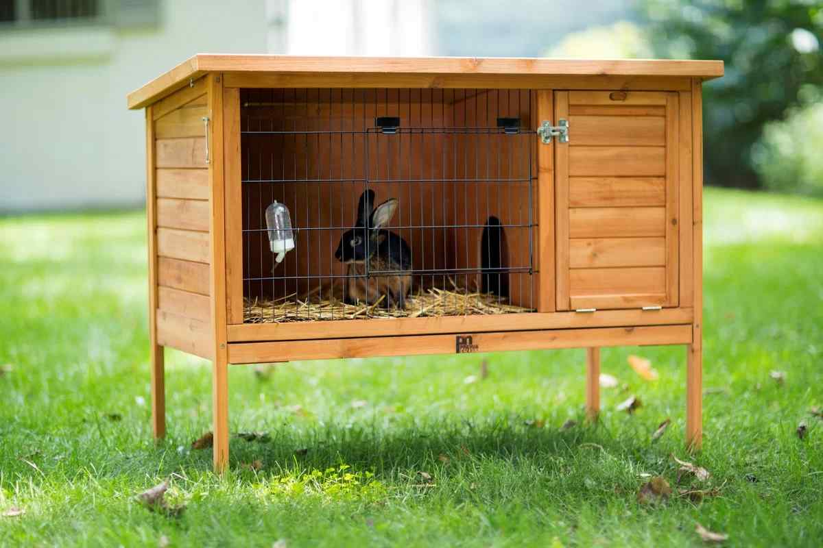 Як зробити будинок кролику